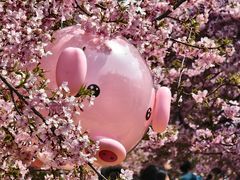 -上海辰山植物园