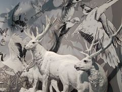 -中国湿地博物馆