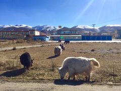 -青海湖国家重点风景名胜区