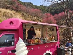 -新建村梅花