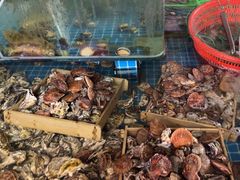 -和源祥·日照菜扛把子(万平口一店)