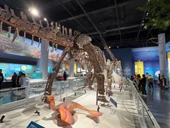 -国家自然博物馆