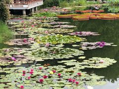 -国家植物园南园