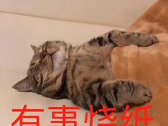-吉野家(吉野家冰山慧谷店)