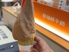 -野人先生现做冰淇淋(北京环宇荟店)