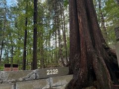 -洛阳白云山景区