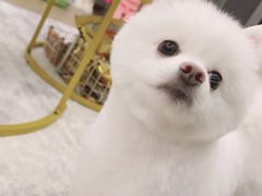 -comecome来吧宠物(奥克斯中心店)