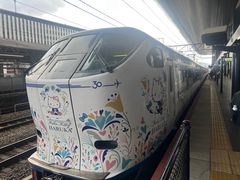 -关西机场 JR ticket office(Kansai Airport)