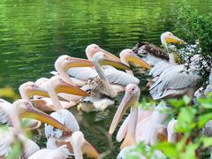 -云南野生动物园