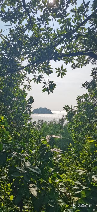 滨海公园图片