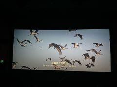 -SFC上影影城(港汇永华IMAX激光店)