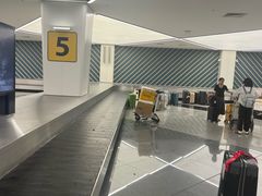 -谢列梅捷沃国际机场