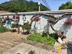 -遇见小院—虹鳟鱼•农家菜(怀柔店)