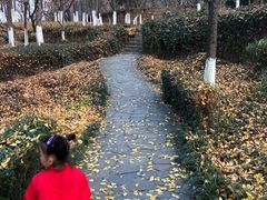 -白马涧龙池景区