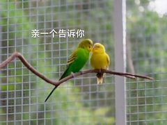 -杭州千岛湖开元度假村