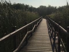 景点-西青郊野公园
