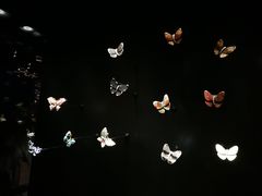 -上海当代艺术博物馆