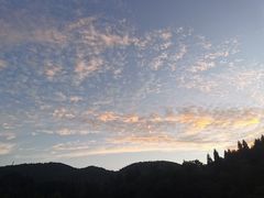 -武陵山森林公园