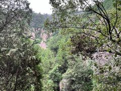 -泰山风景名胜区