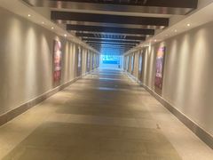 -三亚湾海居铂尔曼度假酒店