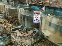 -仙螺岛海鲜自助餐厅(总店)