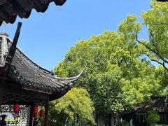 -上海醉白池公园
