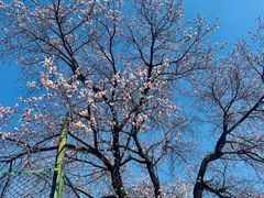 -吉林大学(南岭校区)