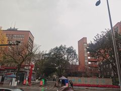 -梯坎豆花