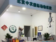 -中农国际动物医院24小时·猫科·骨科·急重症中心