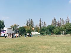 -前小桔亲子创意农场·草莓采摘·露营烧烤