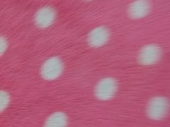 -极致味道动物奶油生日蛋糕(时尚店)