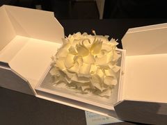 -BLACKSWAN黑天鹅(环球店)