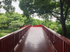 -美兰湖景区