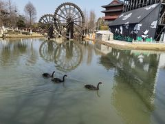 -董永七仙女文化园