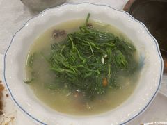 上汤桑叶-姚林轩