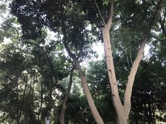 -成都市活水公园