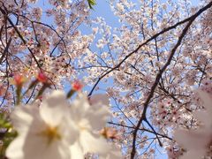 -龙美术馆西岸馆-停车场