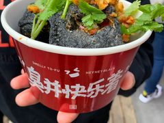 -黑色经典臭豆腐·湖南特产(坡子街店)