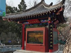 -趵突泉景区