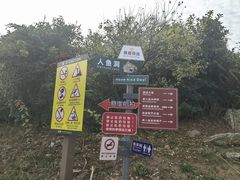 -杨梅坑
