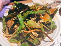-酒阳蒸经·江湖川菜