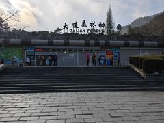 -大连森林动物园