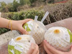 -天目湖涵田半山温泉