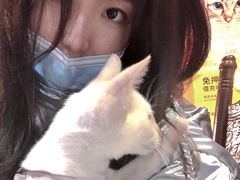 -猫色咖啡·猫咖