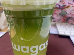 -Wagas沃歌斯(枫蓝国际店)
