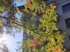 -北京友谊宾馆·聚祥园