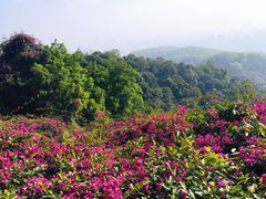 -广州市白云山风景名胜区