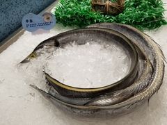 -盒马鲜生(皇庭广场店)