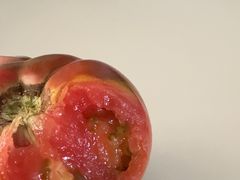 -狗撵鸭(泰山公寓店)