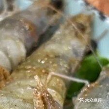 振宇明火烤肉(安庆街店)
